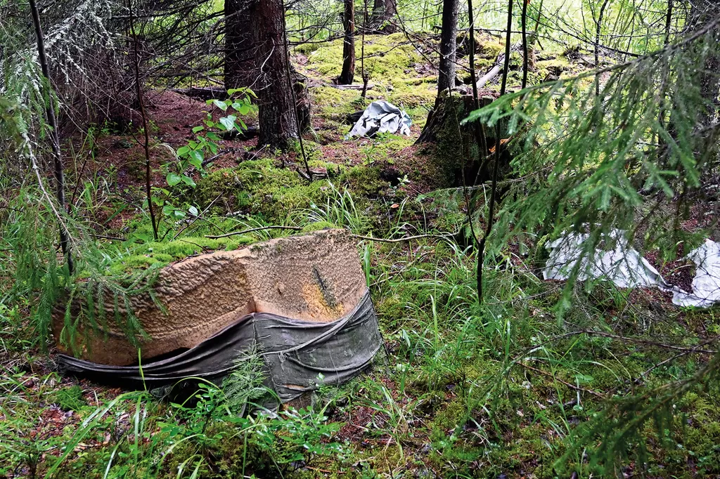 Haapastentien läheisyydessä olevaan metsään on kipattu metsäautotien molemmille puolille erilaista jätettä.